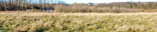cropped-tanfield-wetlands-grass.jpg